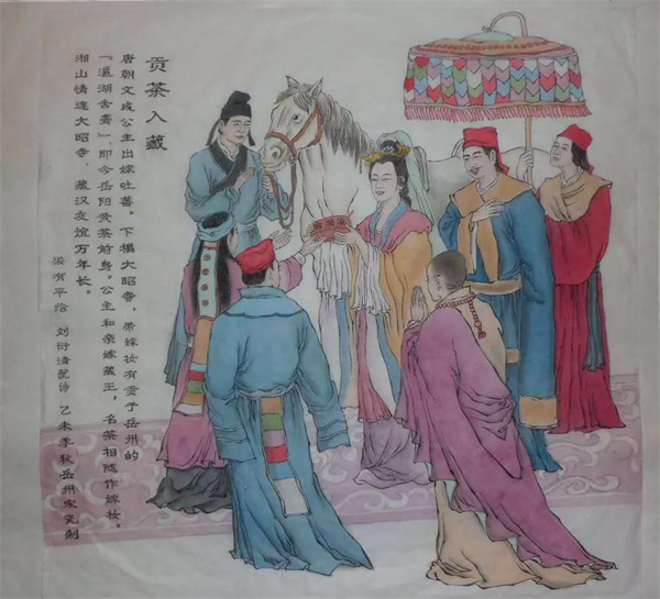 文成公主與君山茶入藏