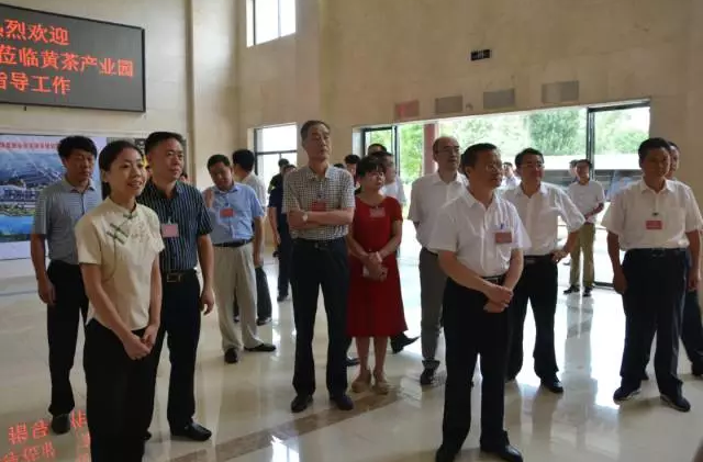 全國人大代表岳陽小組專題調(diào)研君山黃茶產(chǎn)業(yè)
